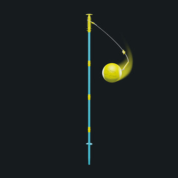 Swingball 2 in 1 Multiplay All Surface Set