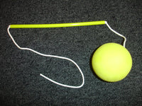 EARLY FUN FOAM BALL & TETHER